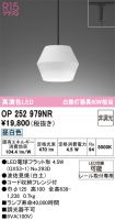 OP252979NR