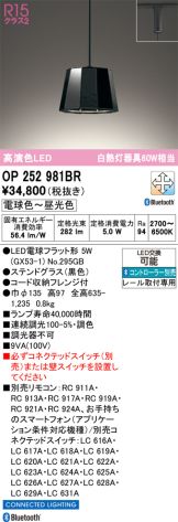 OP252981BR