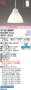OP252990BR1