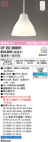OP252990BR1