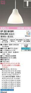 OP252991BR1