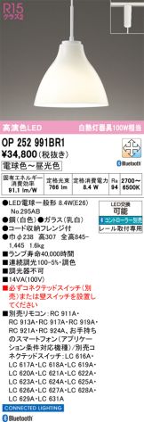 OP252991BR1