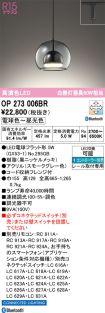 OP273006BR