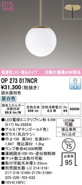 OP273017NCR