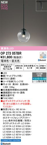 OP273057BR