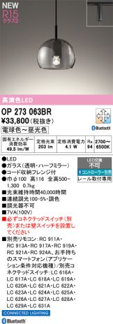 OP273063BR