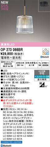 OP273066BR