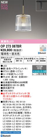 OP273067BR
