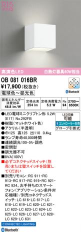 OB081016BR
