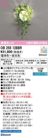 OB255128BR