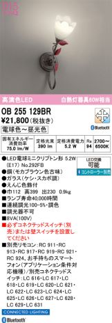 OB255129BR