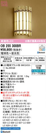 OB255300BR
