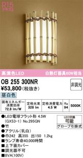 OB255300NR