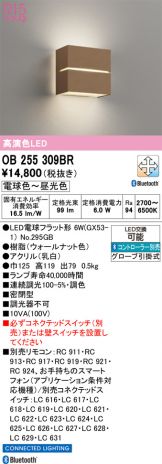 OB255309BR