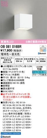 OB081016BR
