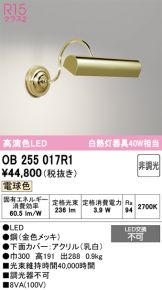 OB255017R1