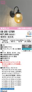 OB255127BR