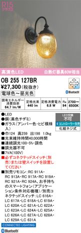 OB255127BR