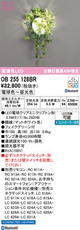 OB255128BR