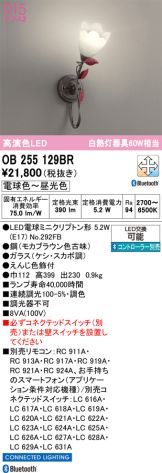 OB255129BR