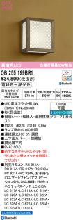 OB255199BR1