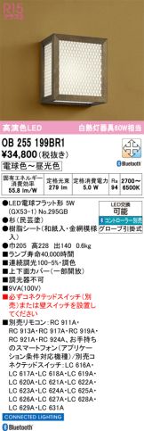 OB255199BR1