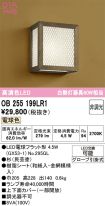 OB255199LR1