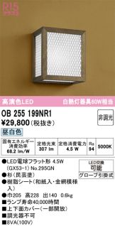 OB255199NR1