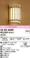 OB255300WR