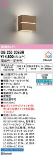 OB255309BR