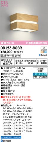 OB255389BR