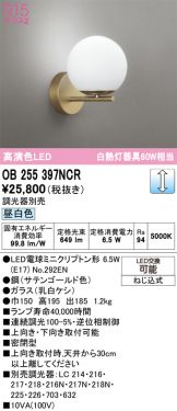 OB255397NCR
