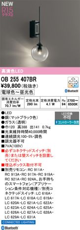 OB255407BR