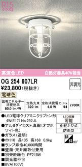 OG254607LR