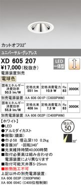 XD605207
