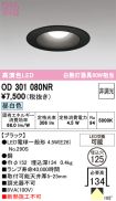 OD301080NR