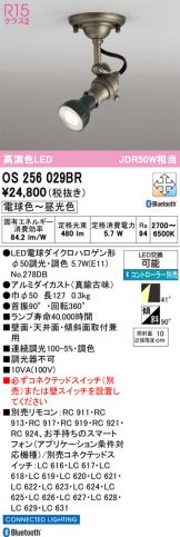 OS256029BR