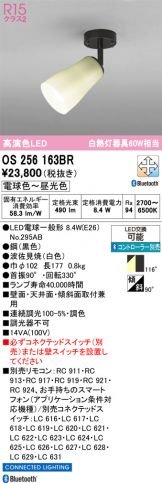 OS256163BR