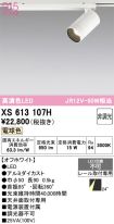 XS613107H