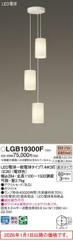LGB19300F