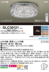 SLC30121