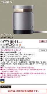 YYY16161