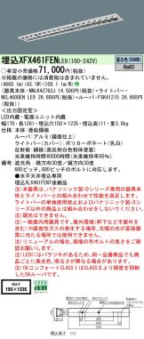XFX461FENLE9