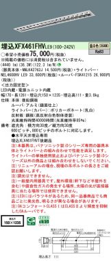 XFX461FHVLE9