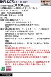 NNFL43973LR9
