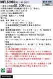 NNFL53960LR9