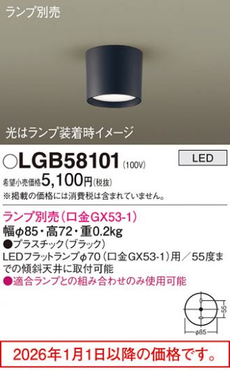 LGB58101