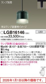 LGB16146