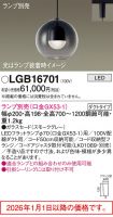 LGB16701