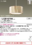 LGB16709